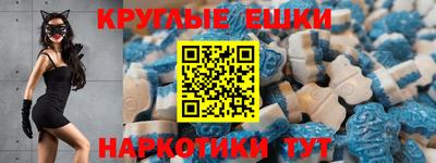 гашик Краснодар