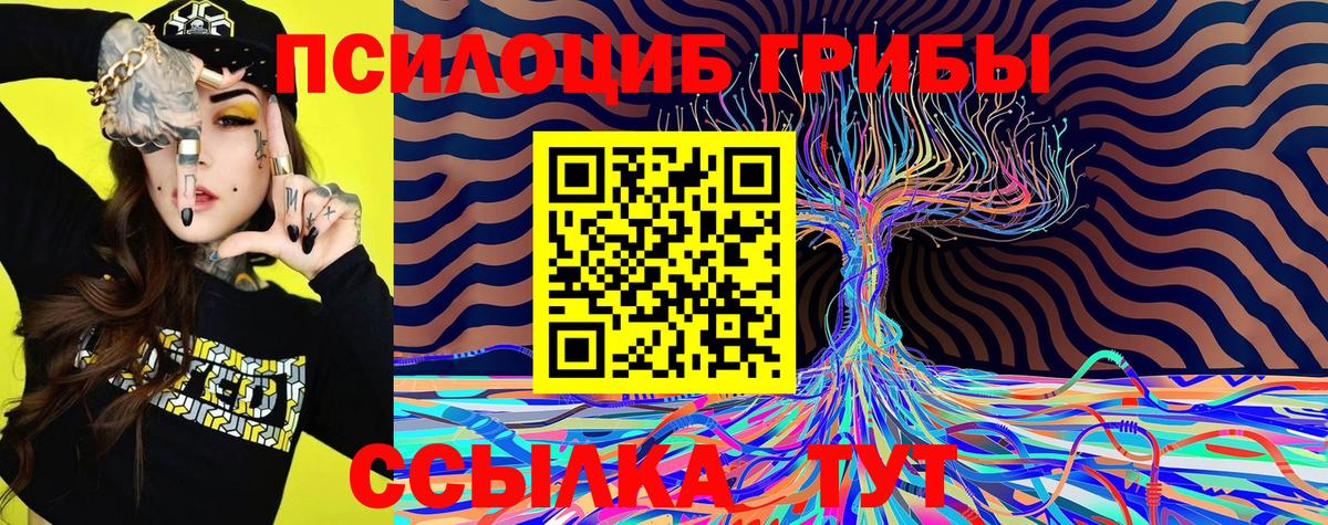 Долгопрудный  где продают наркотики  Вход с VPN  Галлюциногенные грибы Magic Shrooms 